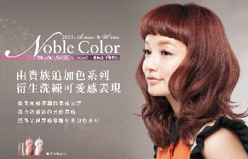 2015 AW 喚采秋冬追加色 NOBLE系列貴氣登場